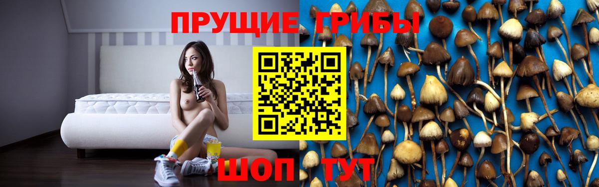 Галлюциногенные грибы мицелий Бердск